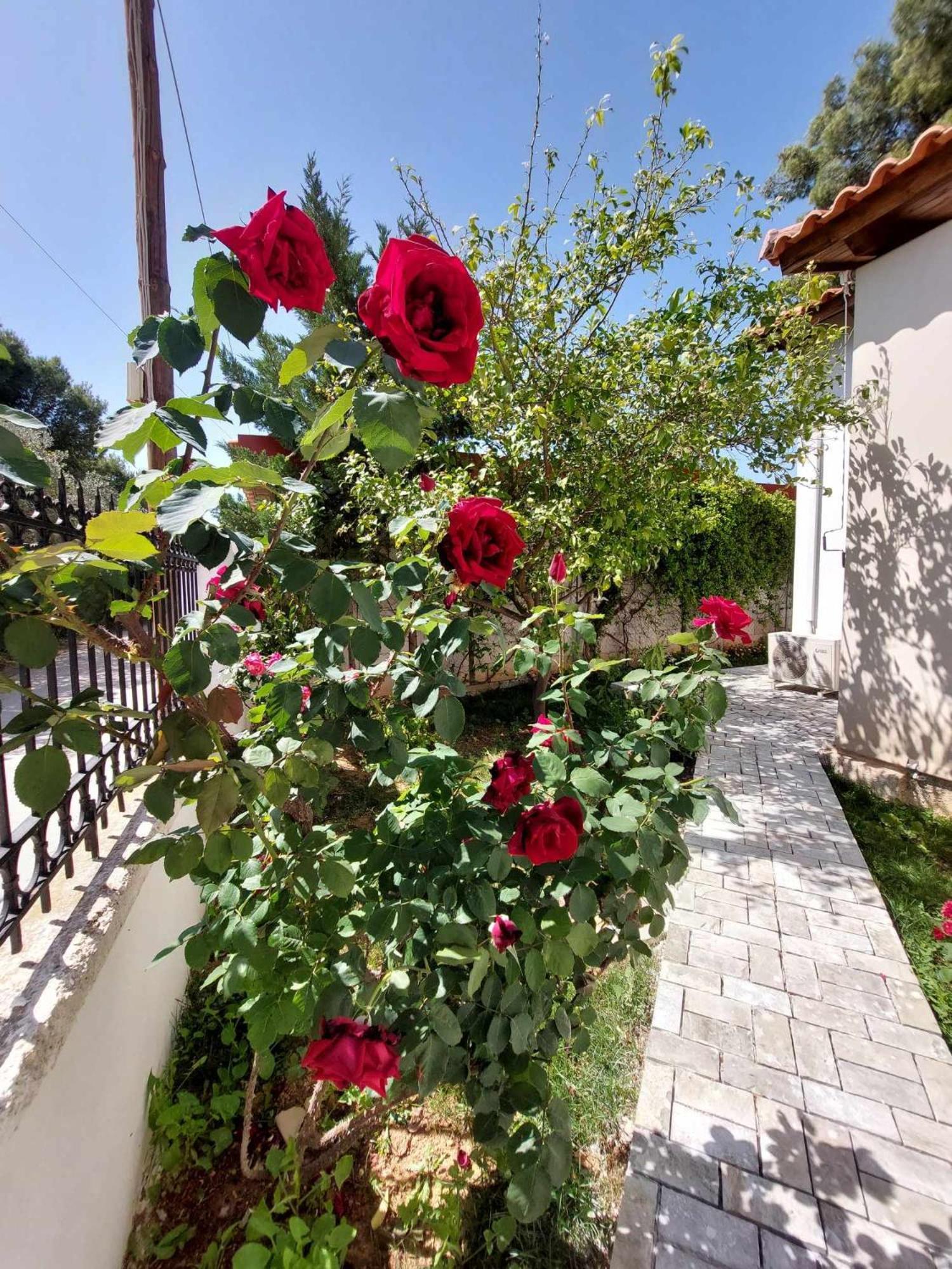 Casa vacanze Boheme Artemis *